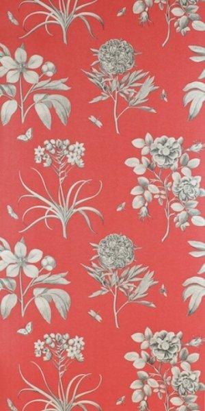 SANDERSON ETCHINGS & ROSES WALLPAPER